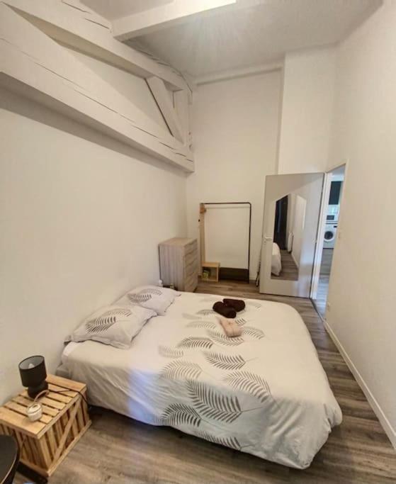 Le Charme De La Bastide - Proche Cite Διαμέρισμα Καρκασόν Εξωτερικό φωτογραφία